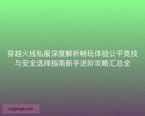 穿越火线私服深度解析畅玩体验公平竞技与安全选择指南新手进阶攻略汇总全