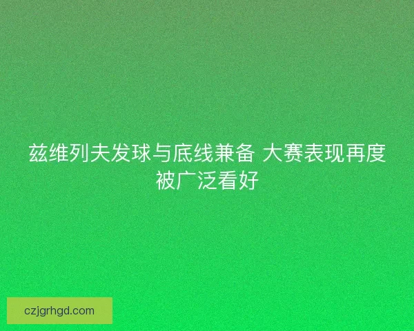 兹维列夫发球与底线兼备 大赛表现再度被广泛看好